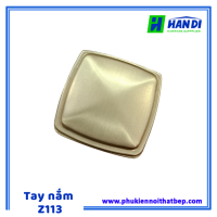 Tay nắm núm vuông Z113