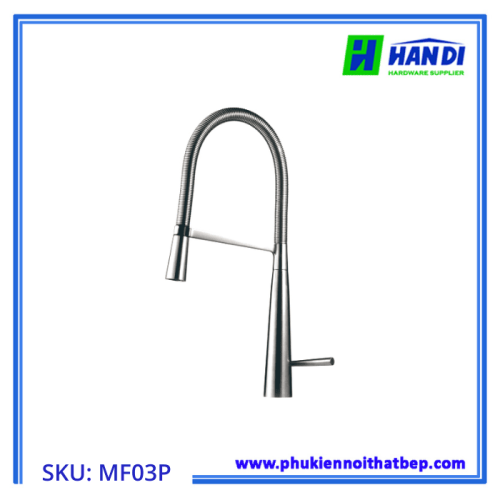 Vòi rửa cao cấp bóng mờ GARIS MF03P